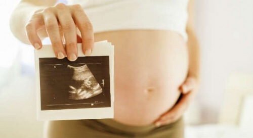 le développement du bébé dans l'utérus peut s'observer à travers les échographies 