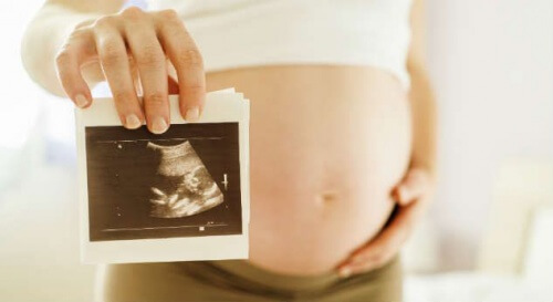 le développement du bébé dans l'utérus peut s'observer à travers les échographies