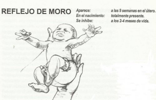 Le réflexe de Moro ou de défense chez le bébé