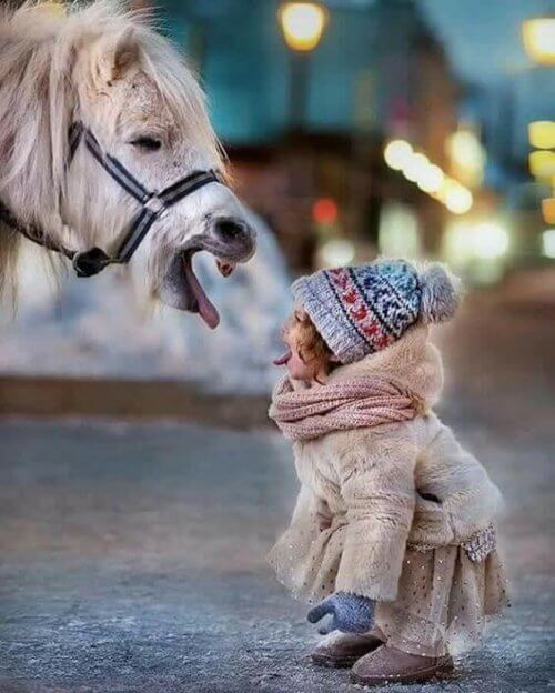 enfant et poney qui tirent la langue