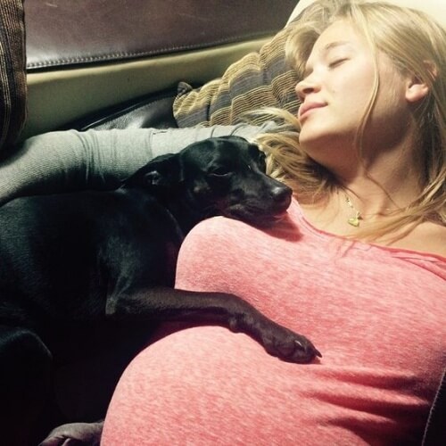 Une femme enceinte endormie avec son chien pendant la grossesse