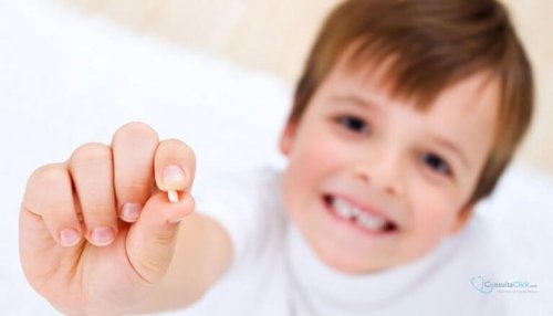 Un petit garçon montre une de ses dents qui est tombée