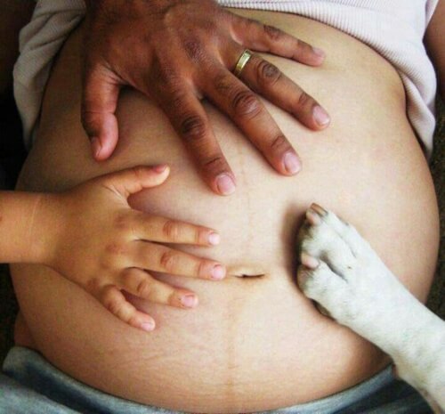 La main d'un papa, d'un enfant et la patte d'un chien sur le ventre d'une femme enceinte qui attend son deuxième enfant