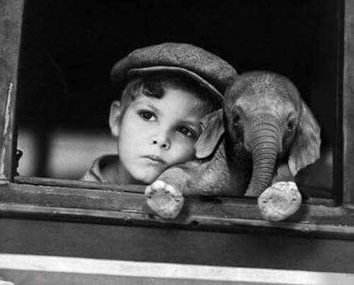 Un enfant avec un éléphanteau
