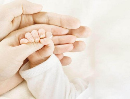 La main d'un bébé dans les paumes de sa maman et de son papa pendant la tétée, montrant le rôle du père pendant l'allaitement
