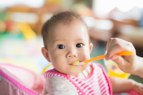 Le régime alimentaire des bébés doit être composé de lait maternel principalement et de purées de fruits et légumes simples