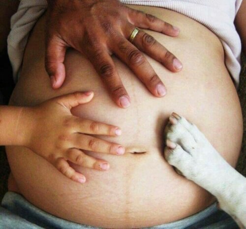 Une main d'enfant, de papa et une patte de chien sur le ventre d'une femme enceinte