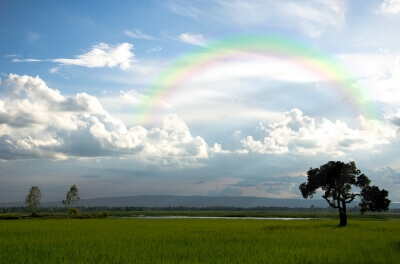 Un Bebe Arc En Ciel La Lumiere Apres La Tristesse Etre Parents