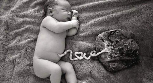 cordon ombilical et placenta