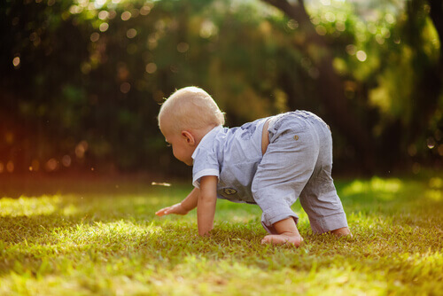 Enfant en train de ramper dans l'herbe.