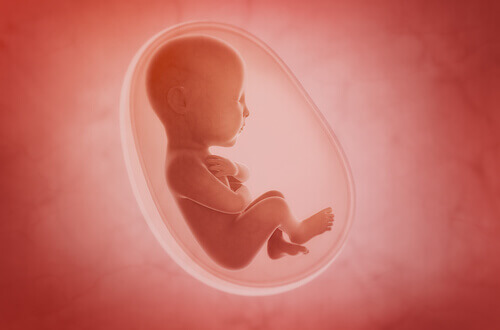 La naissance voilée est un événement spécial.