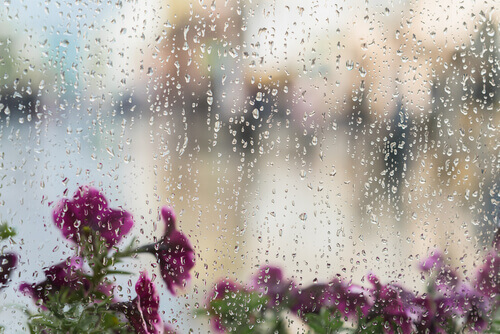 Le son que la pluie produit est un bruit blanc.