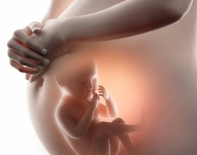 Dans le ventre, le bébé sent absolument tout et ses sens s'affinent au fil des mois de la grossesse