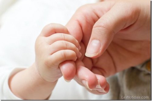 Les cellules souches peuvent sauver la vie de l'enfant.