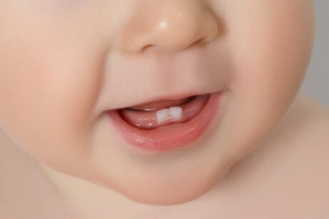 Les premières dents du bébé : tout ce que vous devez savoir