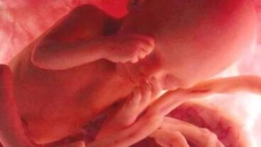 Fumer pendant la grossesse peut modifier l’ADN du bébé