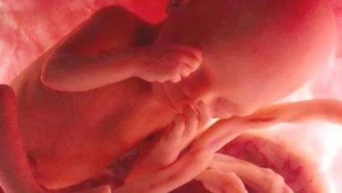 Fumer pendant la grossesse peut modifier l’ADN du bébé