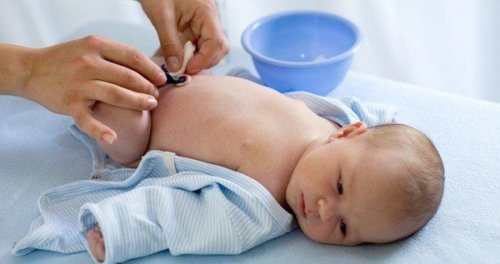 Le cordon ombilical permet au foetus de grandir.