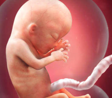 La 13ème semaine de grossesse