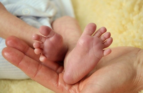 Le Kraamzorg, les soins de maternité post-partum