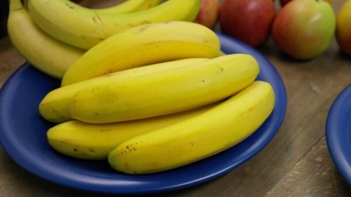 Recettes en sauce pour bébés