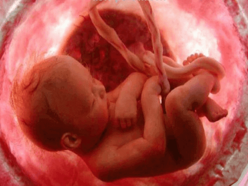 La position du fœtus peut être modifiée avant la naissance avec des massages 