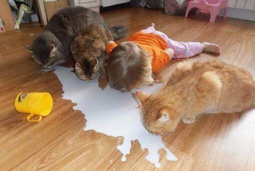 10 situations que seules les mères comprendront