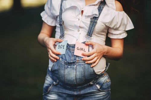 Quels facteurs déterminent le sexe du bébé ?