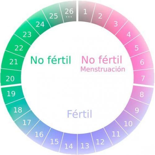 La méthode sympto-thermique