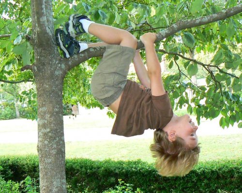 les racines comme cadeau pour enfant