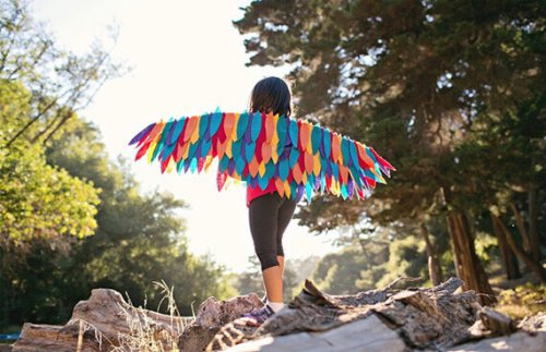 les racines et les ailes