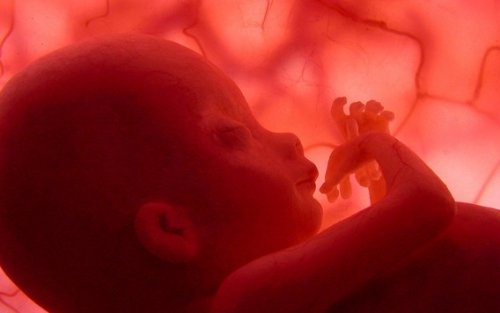 Quels sont les risques du prolapsus du cordon ombilical ?