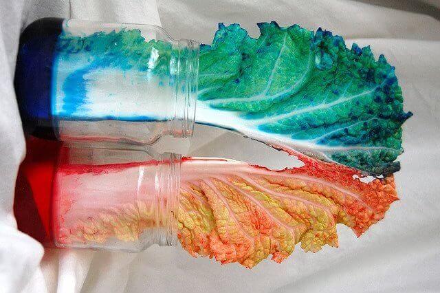 expériences pour les enfants