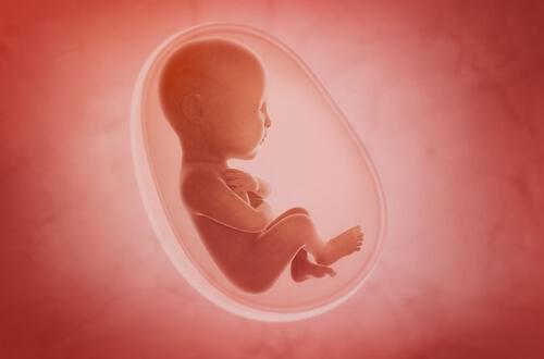 Trois types de degrés définissent le décollement placentaire dont souffre la femme enceinte.