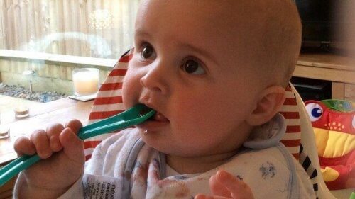 Les moyens de stimuler le sens du goût du bébé