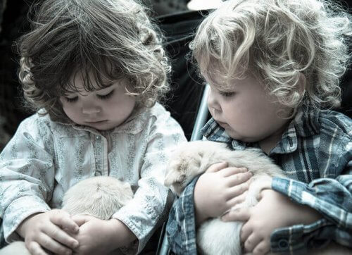 Le best of des animaux pour enfants