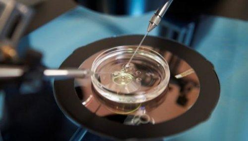 L'on sélectionne les spermatozoïdes les plus performants.