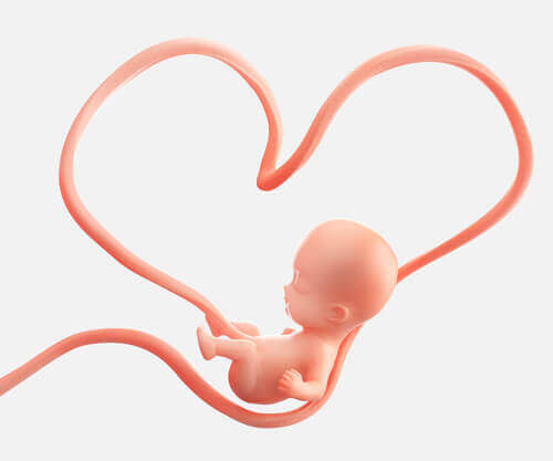Complications du cordon ombilical pour le bébé