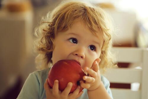 Un bébé mange une pomme