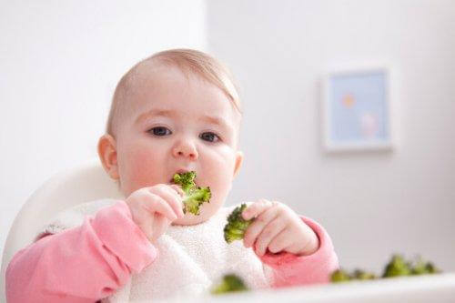 Un bébé mange seul du brocolis