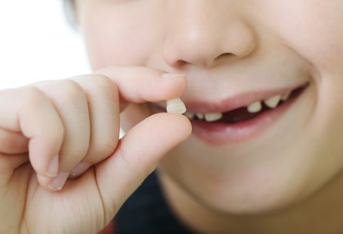 Rêver que les dents tombent peut avoir plusieurs sens et souligner un manque de sécurité et de confiance en soi.