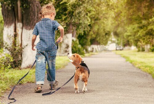 enfant aime les animaux