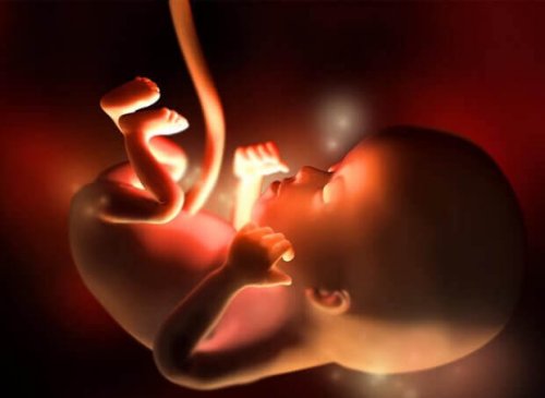 Douzième semaine de la grossesse