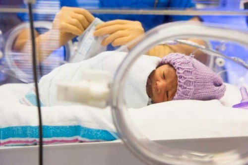 incubateur bébé