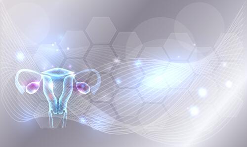 L'utérus rétroversé: tout ce qu'il faut savoir