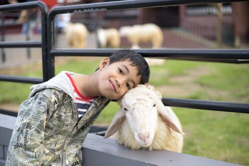 Pourquoi les enfants aiment tant les animaux? Parce qu'ils sont complices et protecteurs.