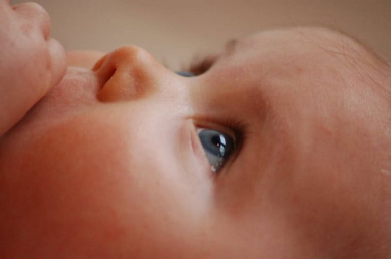 Qu Est Ce Qui Influence La Genetique Du Bebe Etre Parents