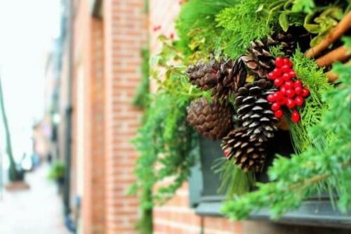 Comment décorer son jardin à Noël