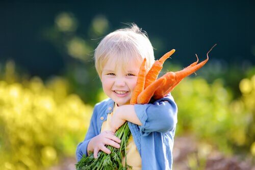 De l'influence des régimes vegan sur les enfants
