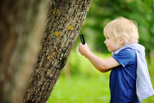 Le but de l'éducation en plein air est que les enfants soient en contact le plus possible avec la nature.